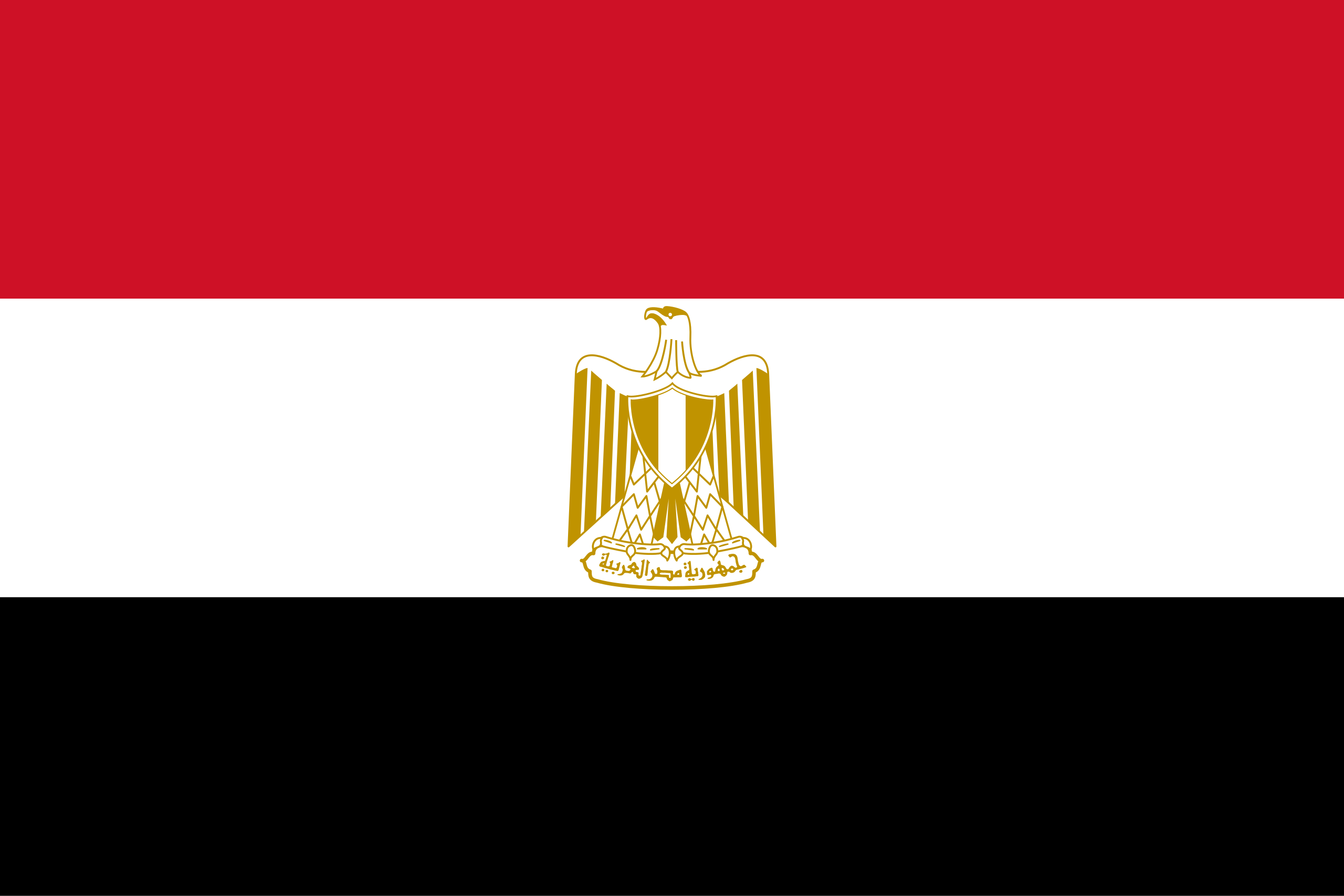 VSS Egypt Logo